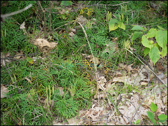 p8150190_web