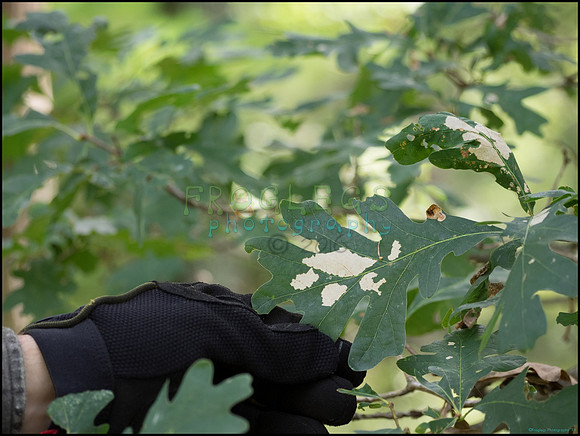 p8150124_web