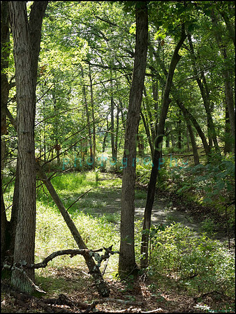 p8150086_web
