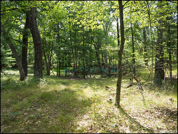 p8150080_web