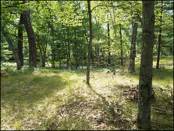 p8150079_web