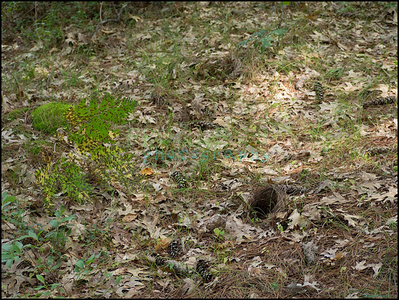 p8150132_web