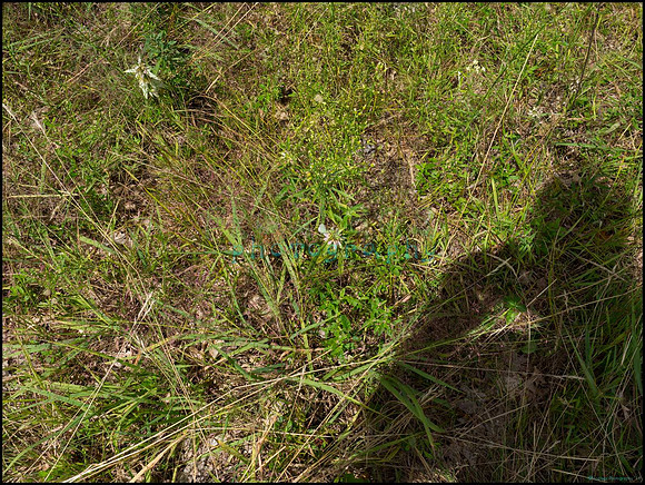p8150174_web