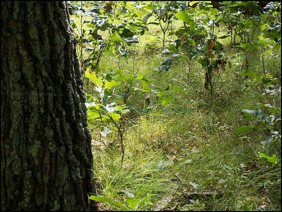 p8150094_web
