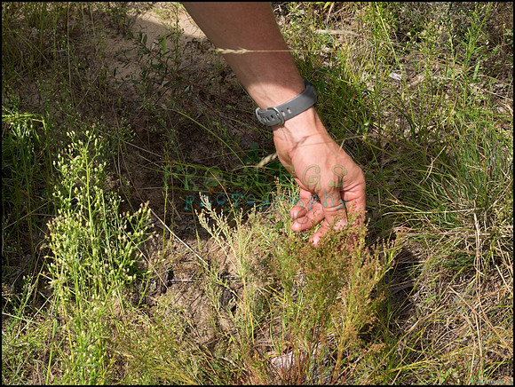 p8150183_web