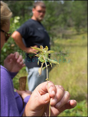 p8150165_web