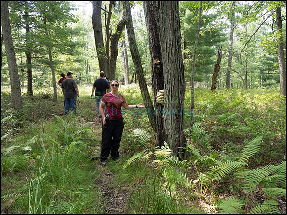 p8150073_web