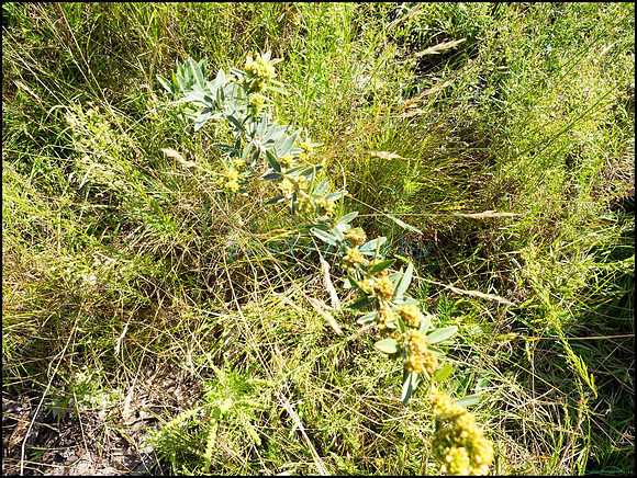 p8150014_web