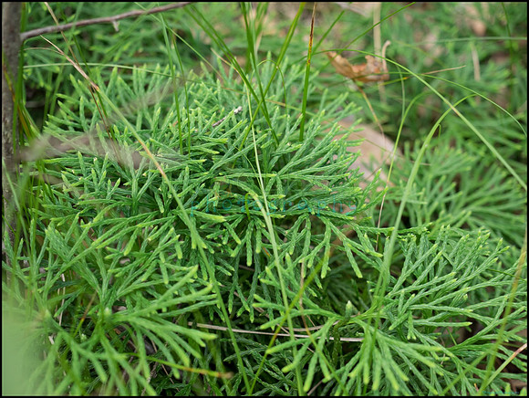 p8150192_web