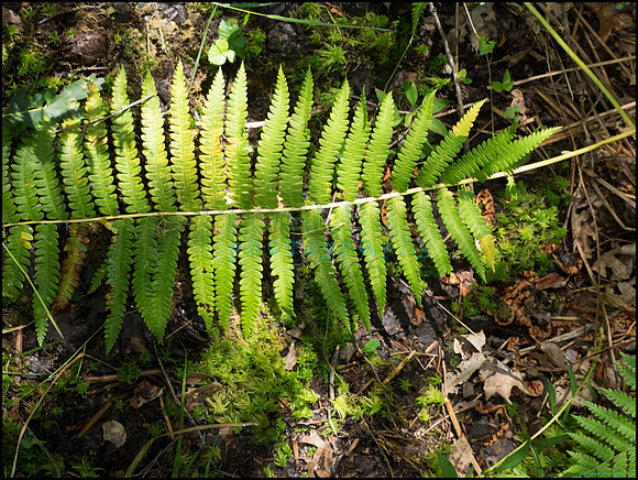 p8150142_web