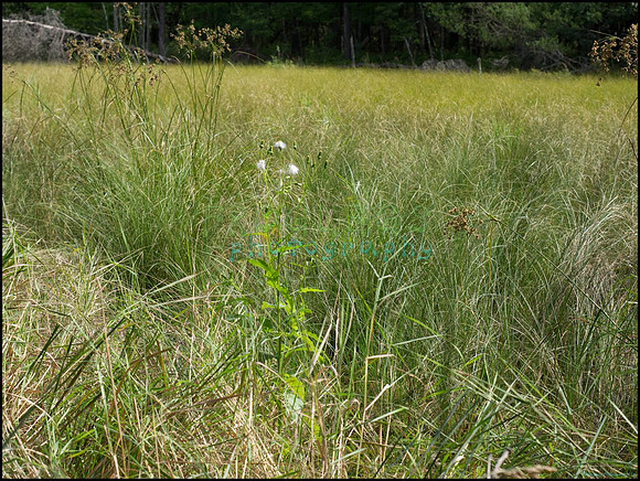 p8150064_web