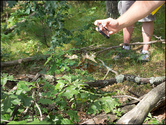 p8150102_web