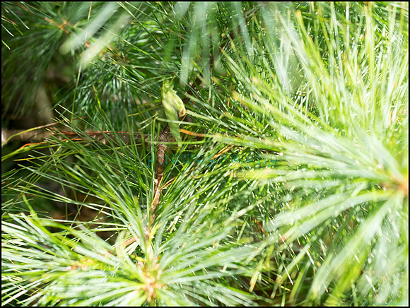 p8150188_web