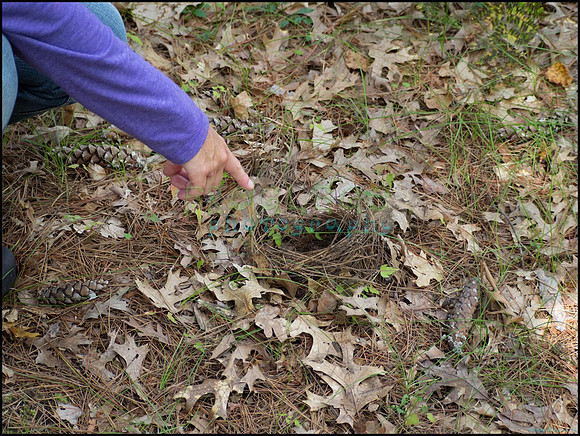p8150127_web