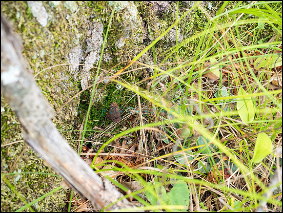 p8150178_web