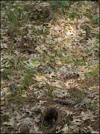 p8150131_web