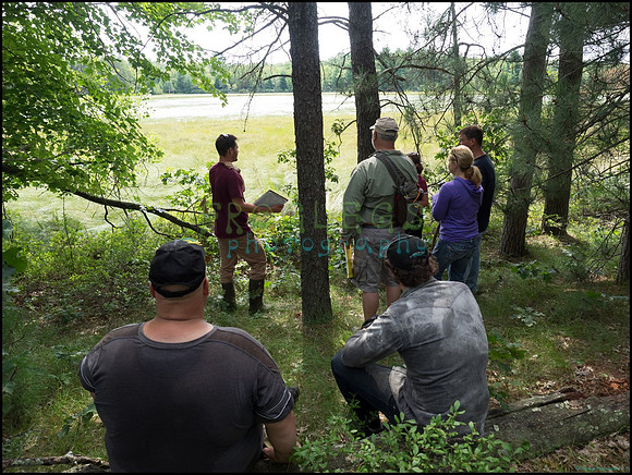 p8150111_web