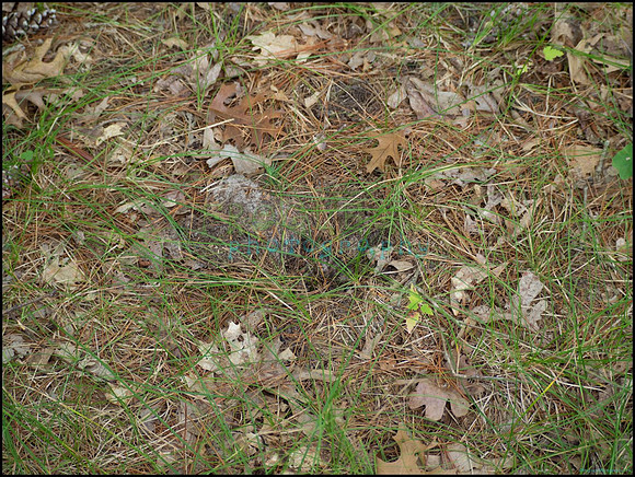p8150133_web