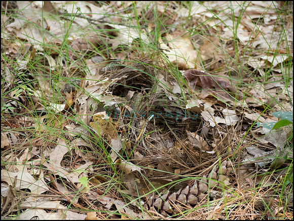 p8150126_web