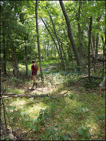 p8150082_web