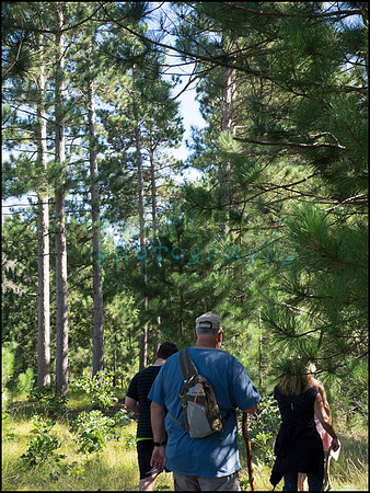 p8140064_web