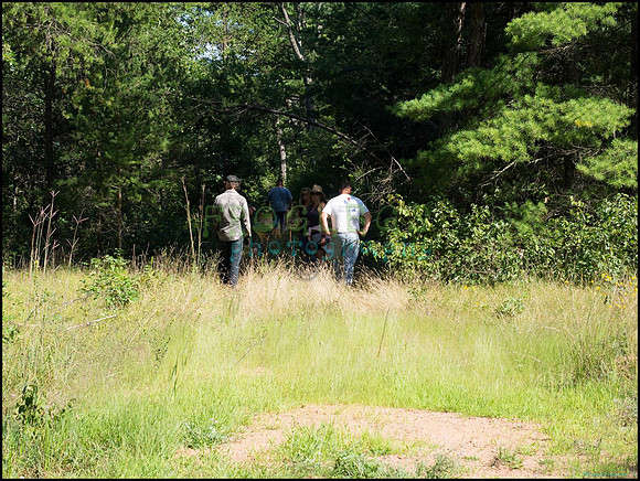 p8140049_web