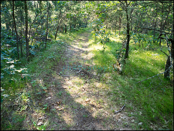 p8140223_web