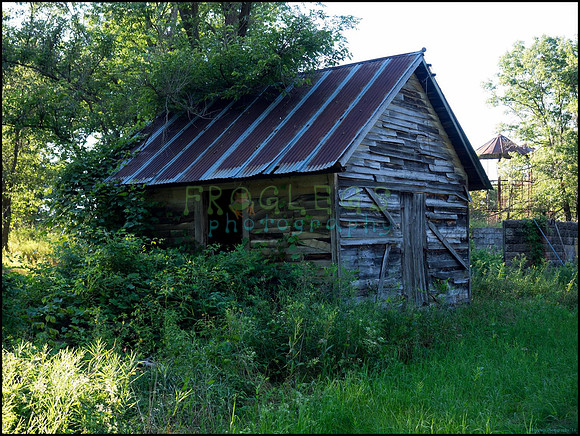 p8140248_web