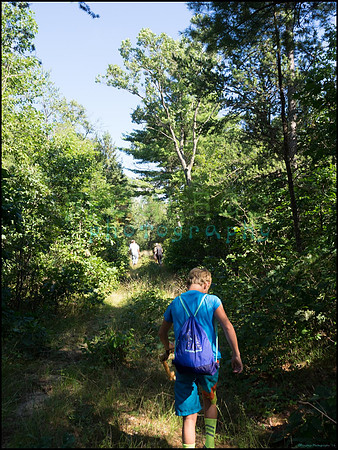 p8140053_web