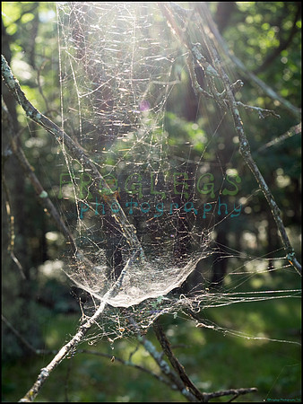 p8140212_web