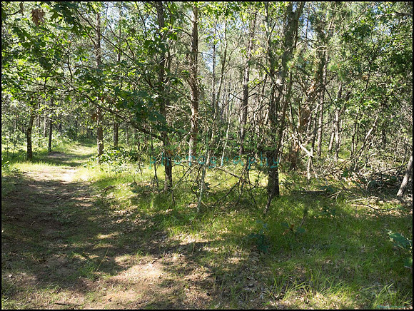 p8140147_web