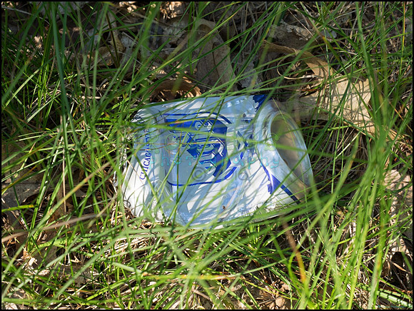 p8140158_web