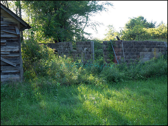 p8140253_web