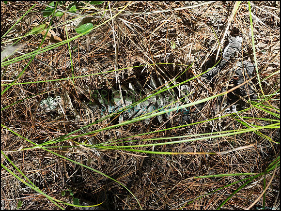 p8140088_web