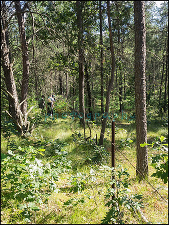 p8140124_web