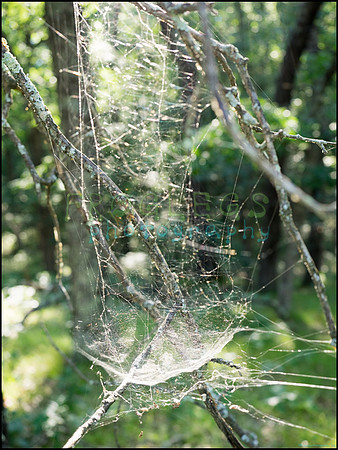 p8140215_web