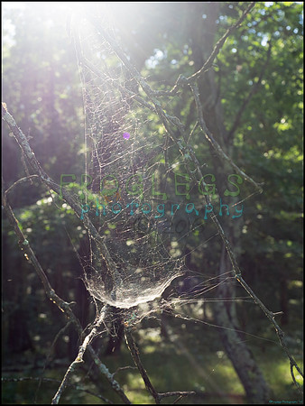 p8140216_web
