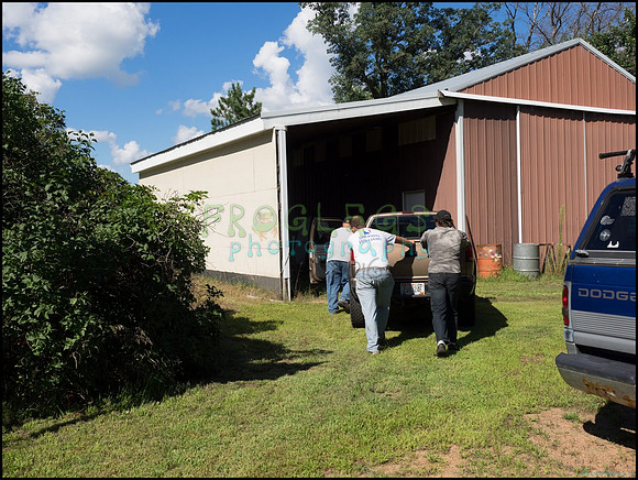p8140037_web