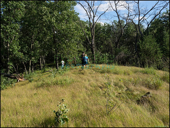 p8140121_web