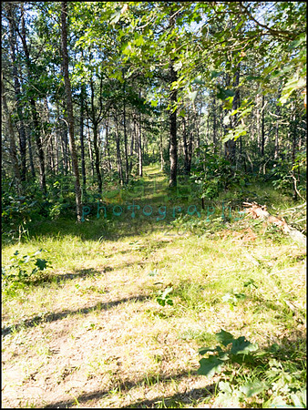 p8140225_web