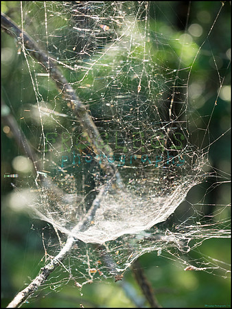 p8140213_web