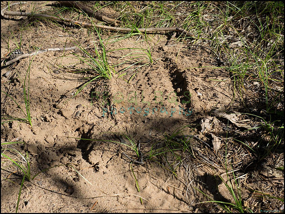 p8140142_web