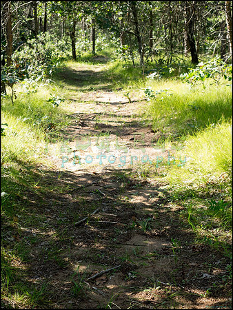 p8140152_web