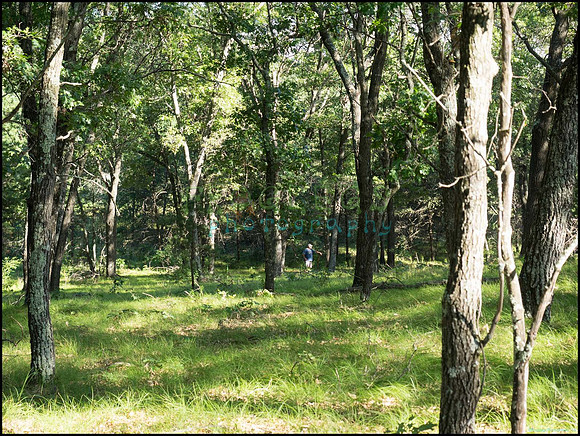 p8140108_web