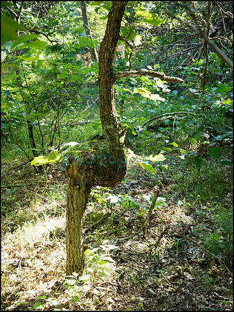 p8140094_web