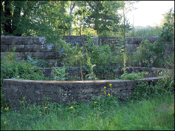 p8140254_web