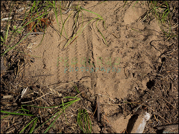 p8140151_web