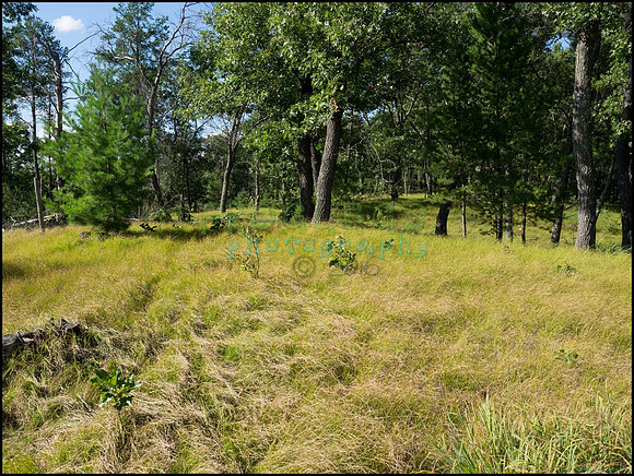 p8140122_web