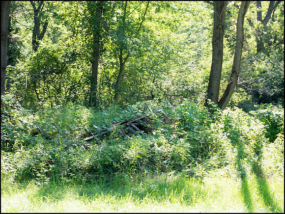 p8140042_web