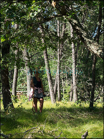 p8140167_web